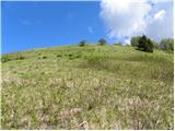 Planina Kuhinja - Planica pod Krnom